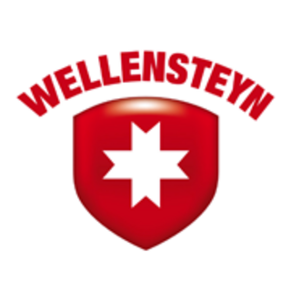 Wellensteyn Klarna Ratenkauf + Gültigen Wellensteyn Coupons